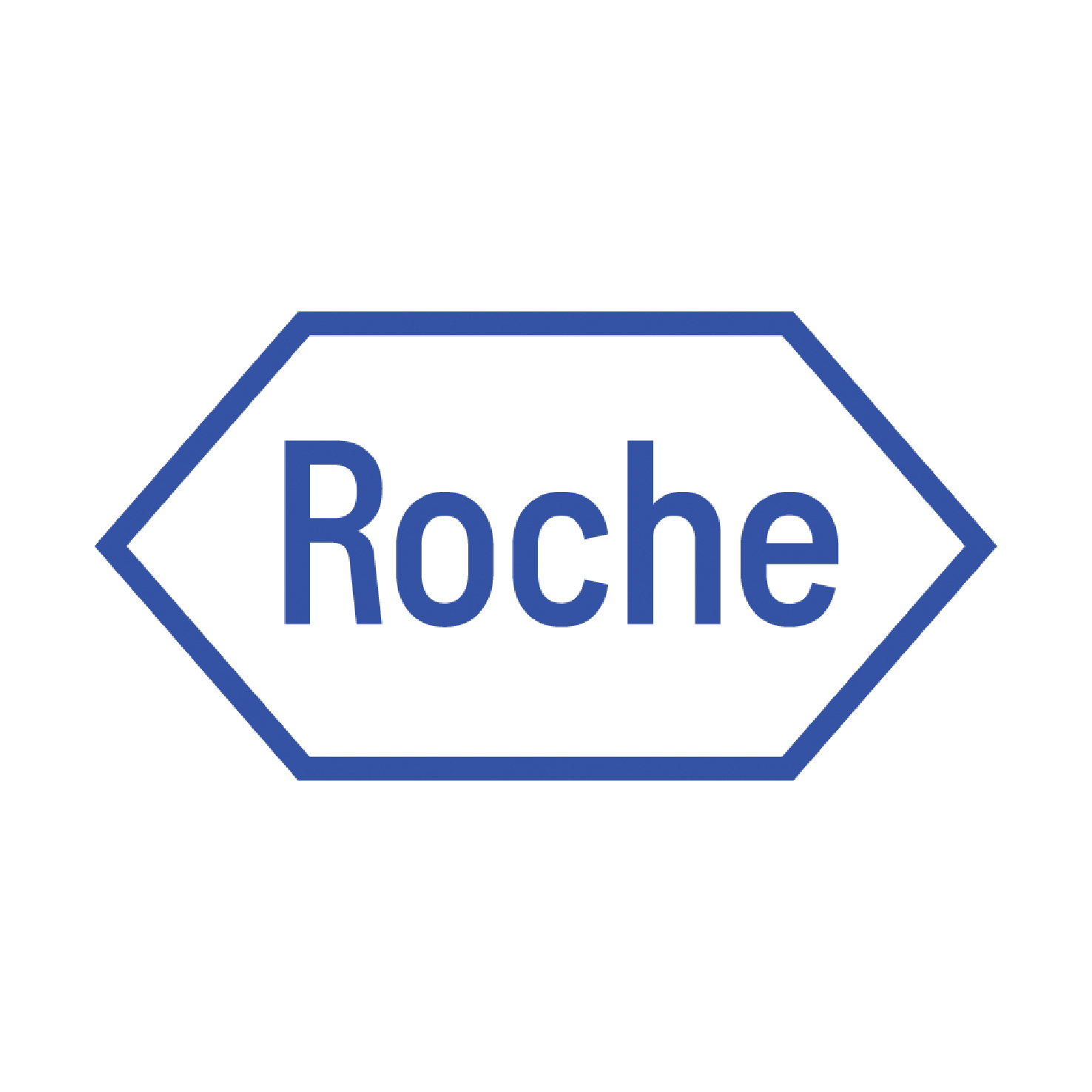 Roche_2022